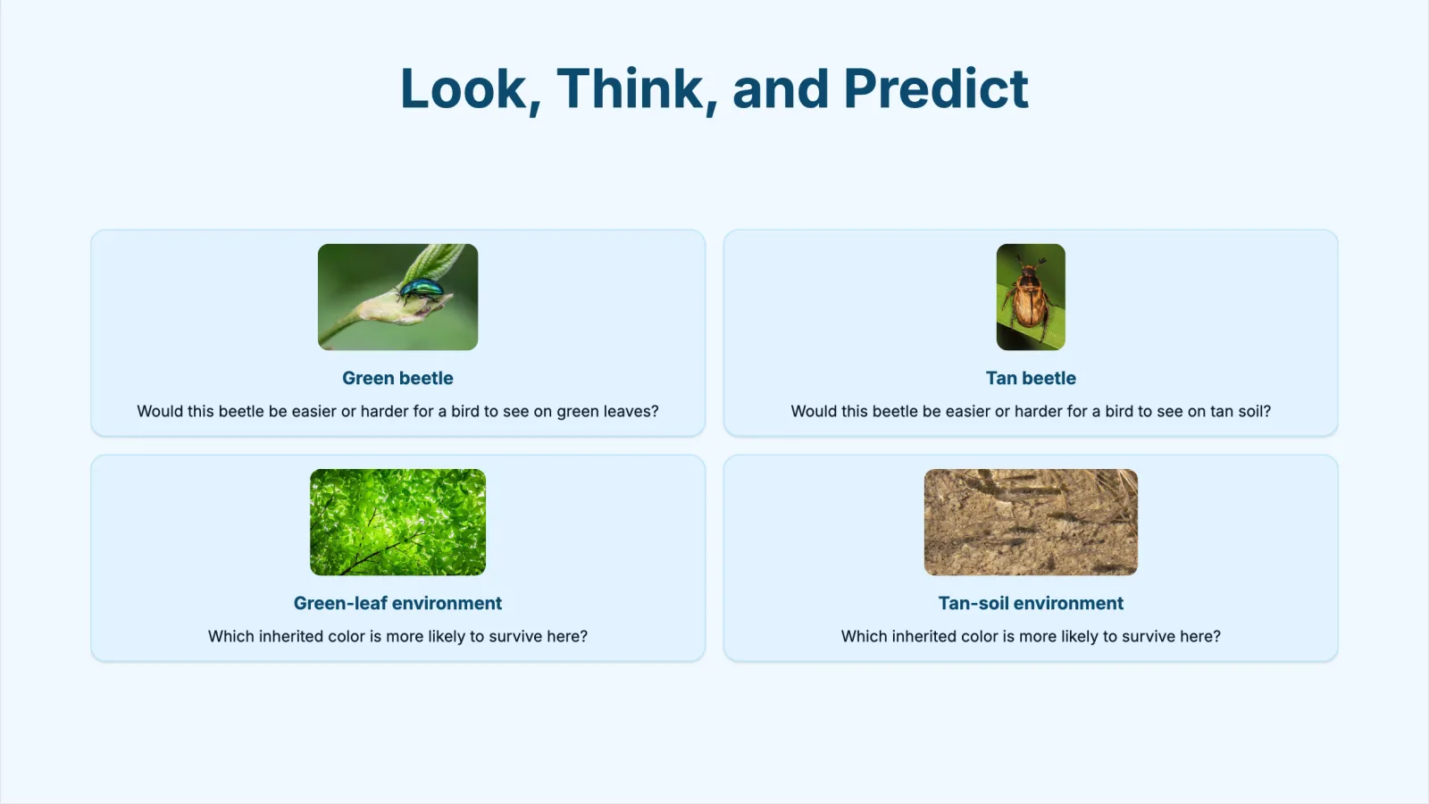 Slide 2 of the Lesson Maker Pro deck: 'Look, Think, and Predict' with photos of a green beetle, a tan beetle, green leaves, and tan soil, each with a prediction question